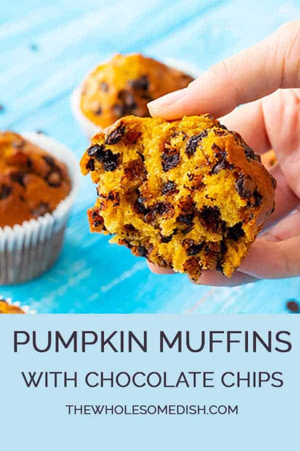 Chocolate Chip Pumpkin Muffin Recipe with muffin pulled apart showing the chocolate chips inside