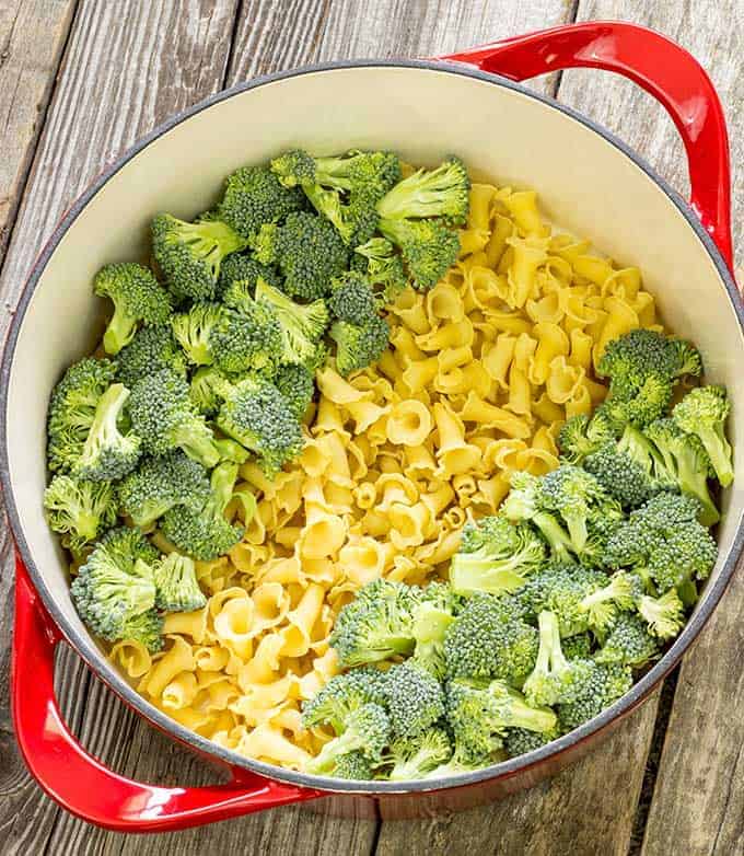 Fresh broccoli and uncooked pasta in a pot for 1 pot pasta